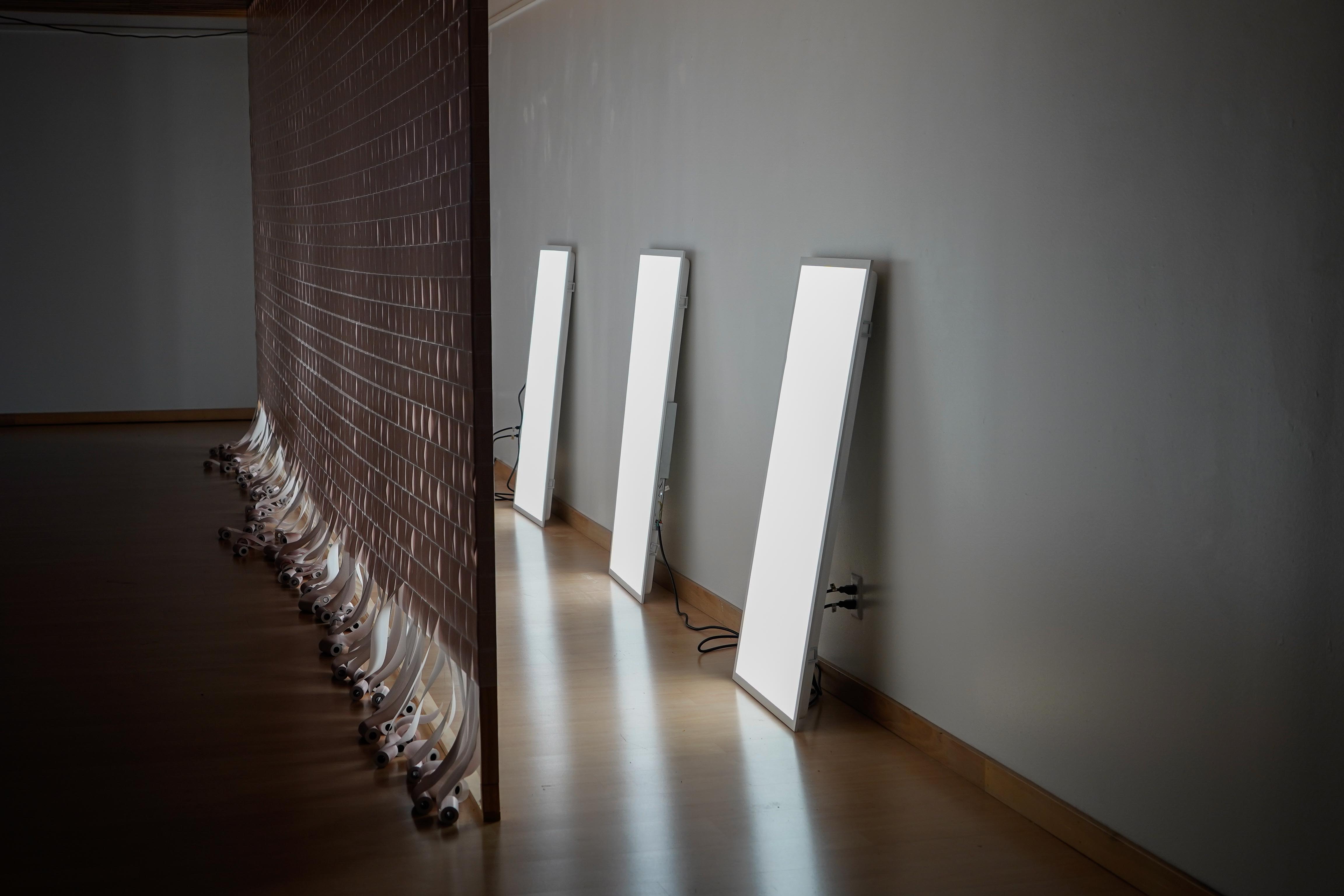 Installation still of bleeding from the outside in by Emily Dzieweczynski